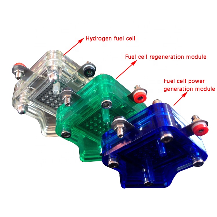 Pem-Wasserstoff-Generator-Elektrolyseur für Tierarzt